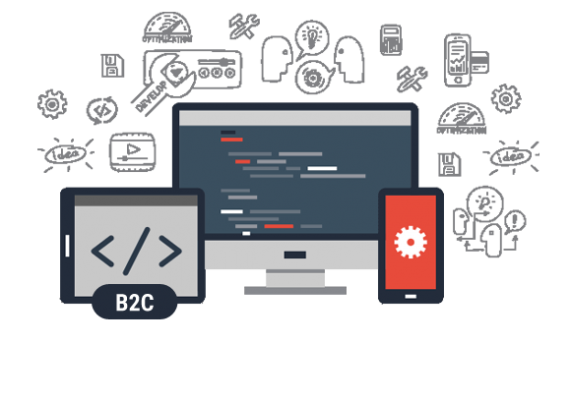 B2C Portal Development Services Karachi Hyderabad
